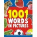 1001 Words in Picture